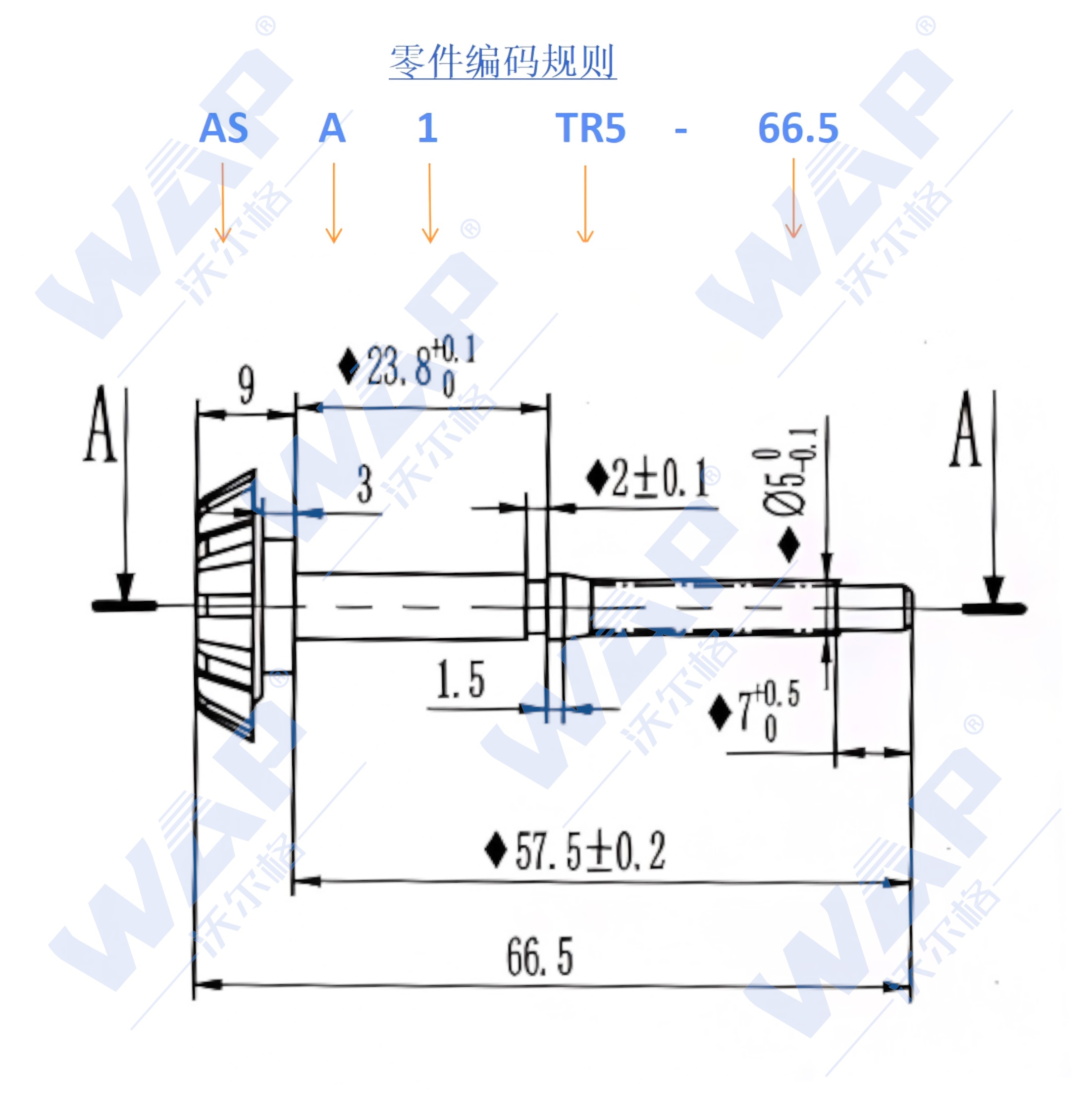 J6L前组合灯（改款）-调节螺钉（带齿轮）（粗牙,螺距1.7）66.5×M5（10107213） 详情.jpg